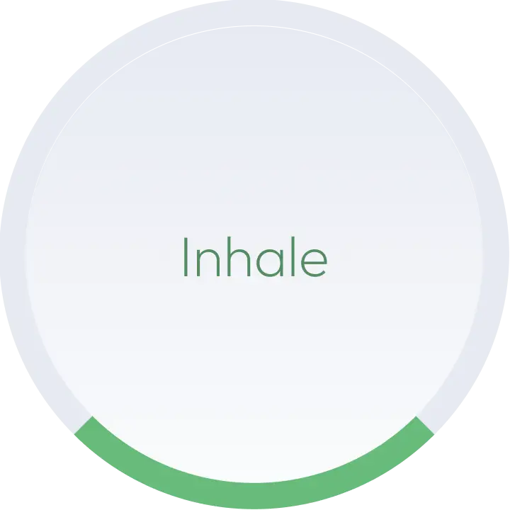 Mindful Vaping Mode
